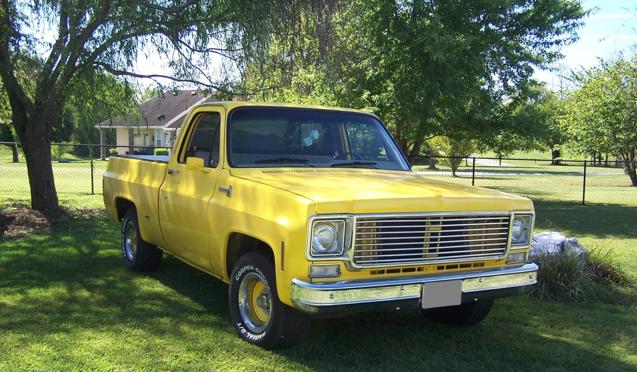 1977 chevy truck hood